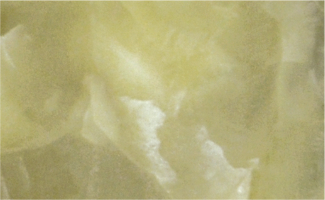 Green Onyx